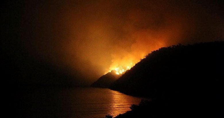 Bodrum’daki orman yangınını söndürme çalışmaları aralıksız sürüyor