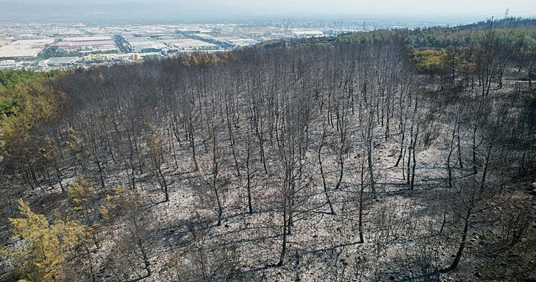 Manisa’nın Yunusemre ilçesindeki orman yangını kontrol altında