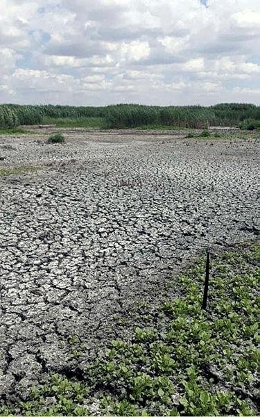 Eber Gölü pişmanlığı: Hiç bitmez, tükenmez sandık, o da canlıymış bilemedik