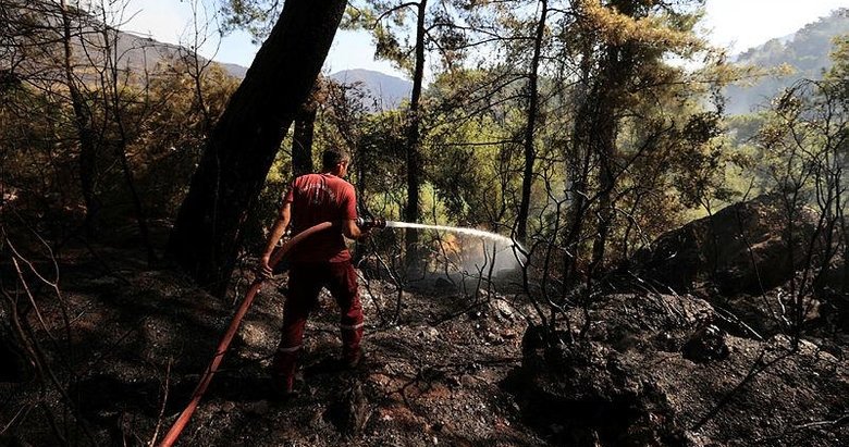 Orman mühendisleri yangınlarda sabotaj ihtimali üzerinde duruyor