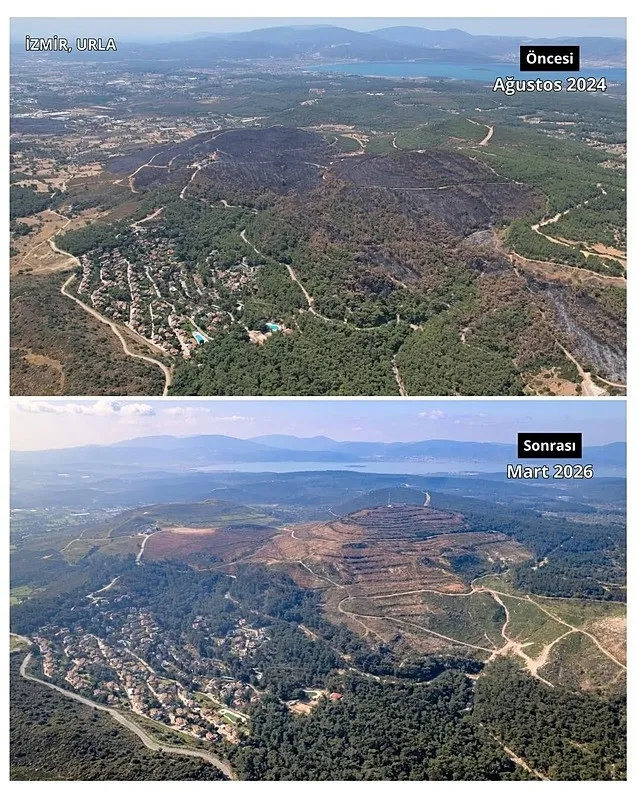 izmirde-orman-seferberligi-ak-partili-saygili-rakamlari-acikladi-130-milyon-327-bin-tohum-toprakla-bulusturuld-1783413330310.jpeg