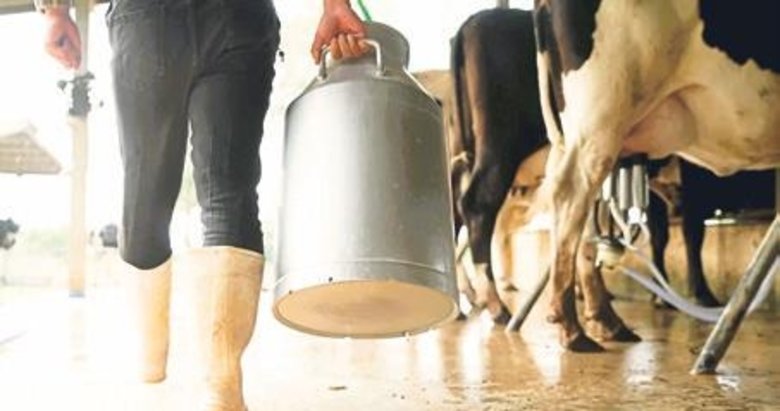 Denizli, Ege Bölgesi’nin en iyi süt tedarikçisi