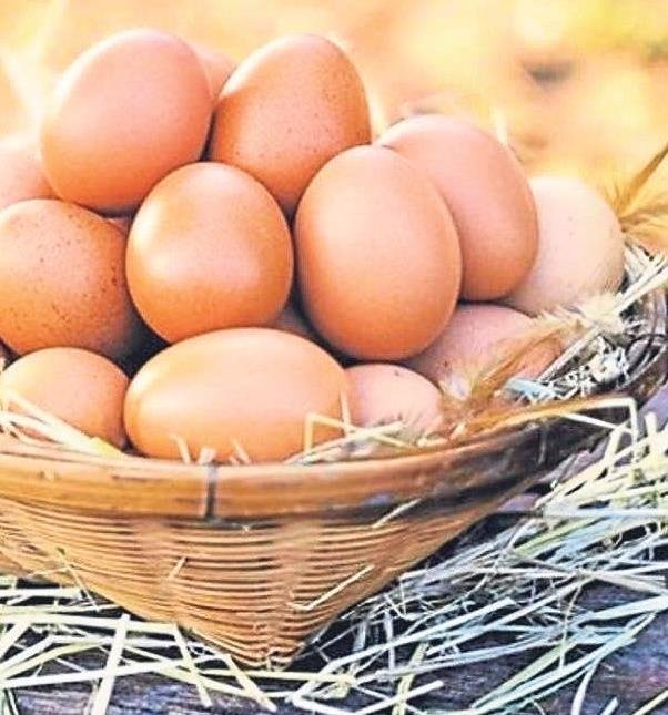 Günü zinde gecirmek elinizde