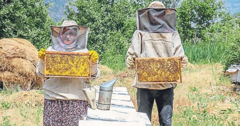 “Genç Çiftçi Projesi” ile arı kovanı sayısını 150’ye çıkardı