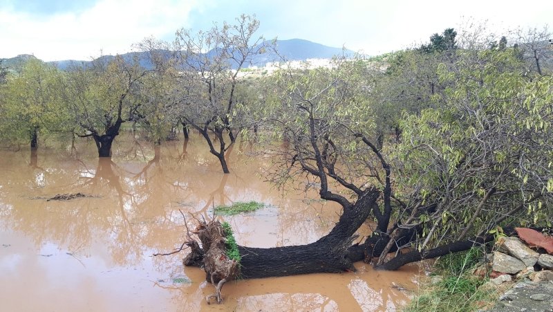 Datça’da aşırı yağmur hayatı felç etti