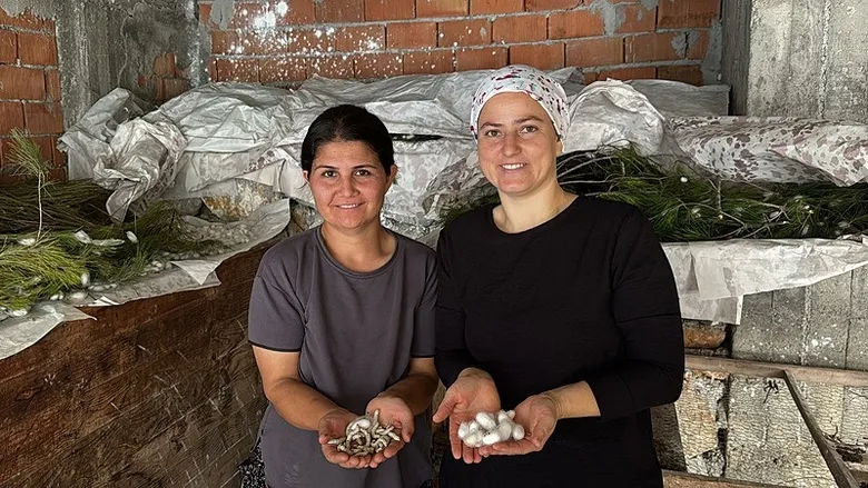 muglada-evlerinin-alt-katini-fabrikaya-donusturduler-tek-paketini-80-bin-tl-kazandiriyor-1782123176783.jpeg