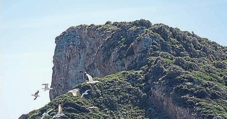 Karadan yürüyerek ulaşılabilen bir cennet! Çıfıt adası ziyaretçilerini büyülemeye devam ediyor