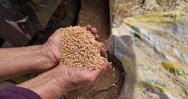 TMO’nun stokları gelecek hasat dönemine kadar Türkiye’nin ihtiyaçlarını karşılayacak seviyede