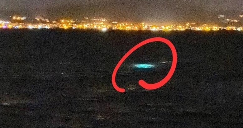 İzmir’de kaçak deniz patlıcanı avı operasyonu