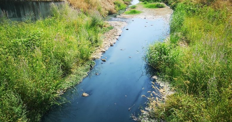 İzmir Dikili’deki site sakinlerinden arıtma tesisi eylemi