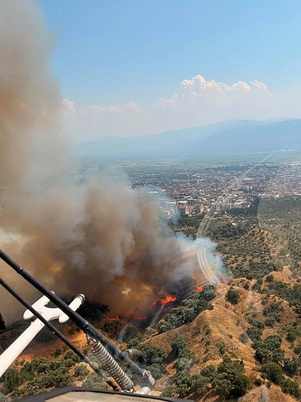 SON DAKİKA: Aydın’da alevlerle mücadele! Zeytinlik alanda yangın çıktı