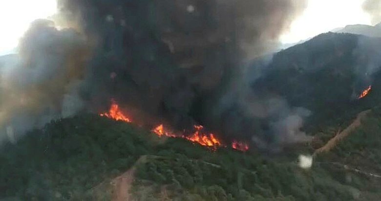 Manisa’da orman yangınına havadan karadan müdahale ediliyor