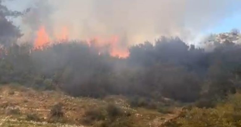 Aydın’da yangın! İtfaiye ekipleri hızla harekete geçti