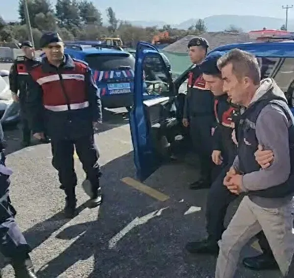 1790855046415.png