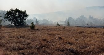 İspanya’nın gönderdiği 2 yangın söndürme uçağı Muğla’da
