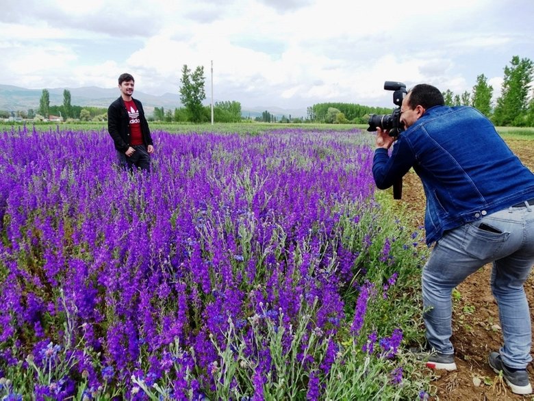 Kütahya’daki mor çiçek tarlası görenleri büyülüyor