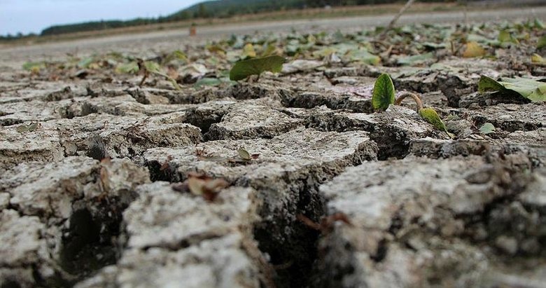 Ege, son 20 yılın en kurak sezonu! Yağış yüzde 82,3 azaldı