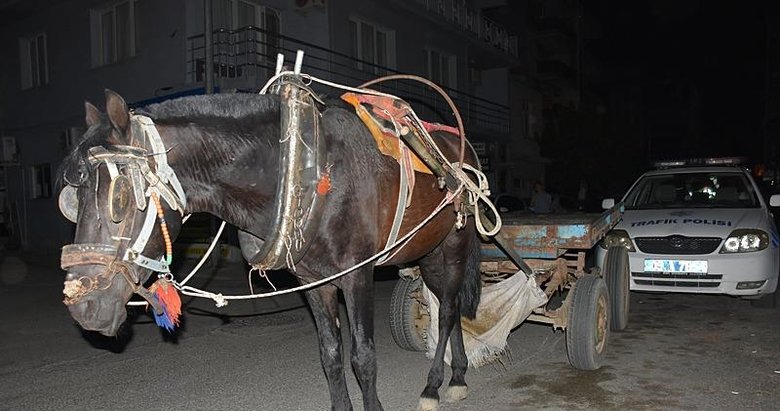 Aydın’da ilginç olay! Alkollü at arabası kullandı, cezayı yedi