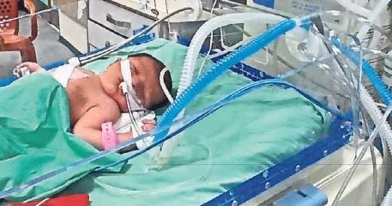 Vahşette son nokta!