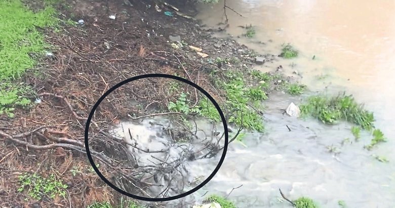 Bakanlıktan İZSU’ya kirli su cezası