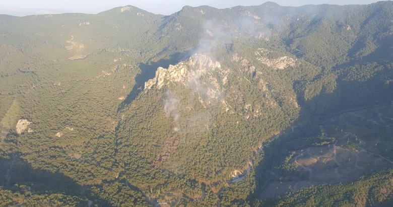 İzmir Karşıyaka’da orman yangını