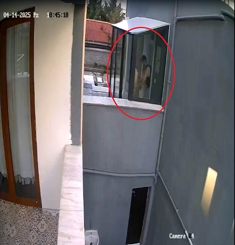 Doktorun sahiplenip öldürdüğü iddia edilen köpek sayısı 26’ya ulaştı