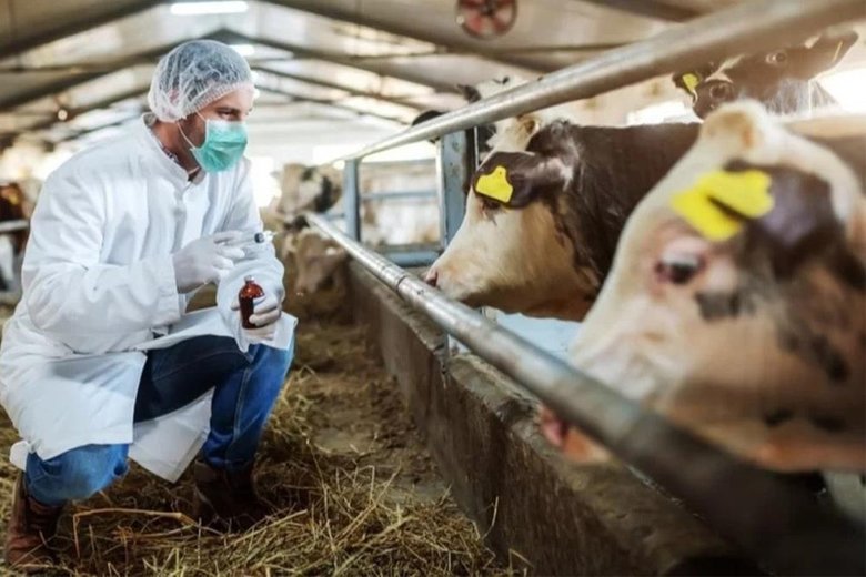 Ege’nin o ilinde 20 mahalle karantinaya alındı