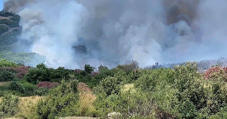 Söke’deki yangın Milli Park’a sıçramadan söndürüldü