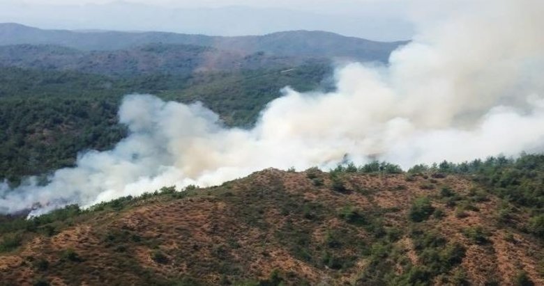 Marmaris’te korkutan orman yangını
