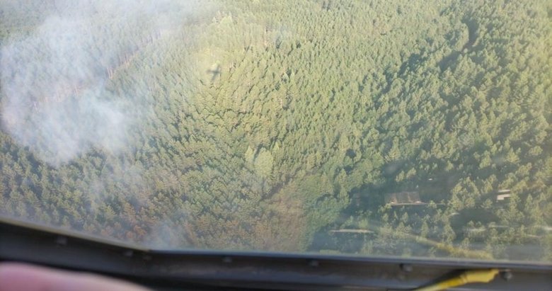 Çanakkale Bayramiç’te orman yangını! Kontrol altına alındı