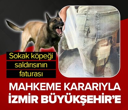 Sokak köpeği saldırısının faturası İzmir Büyükşehir’e