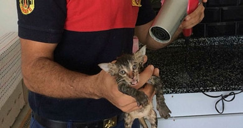Muğla’da yağmur suyu borusuna sıkışan kedi kurtarıldı