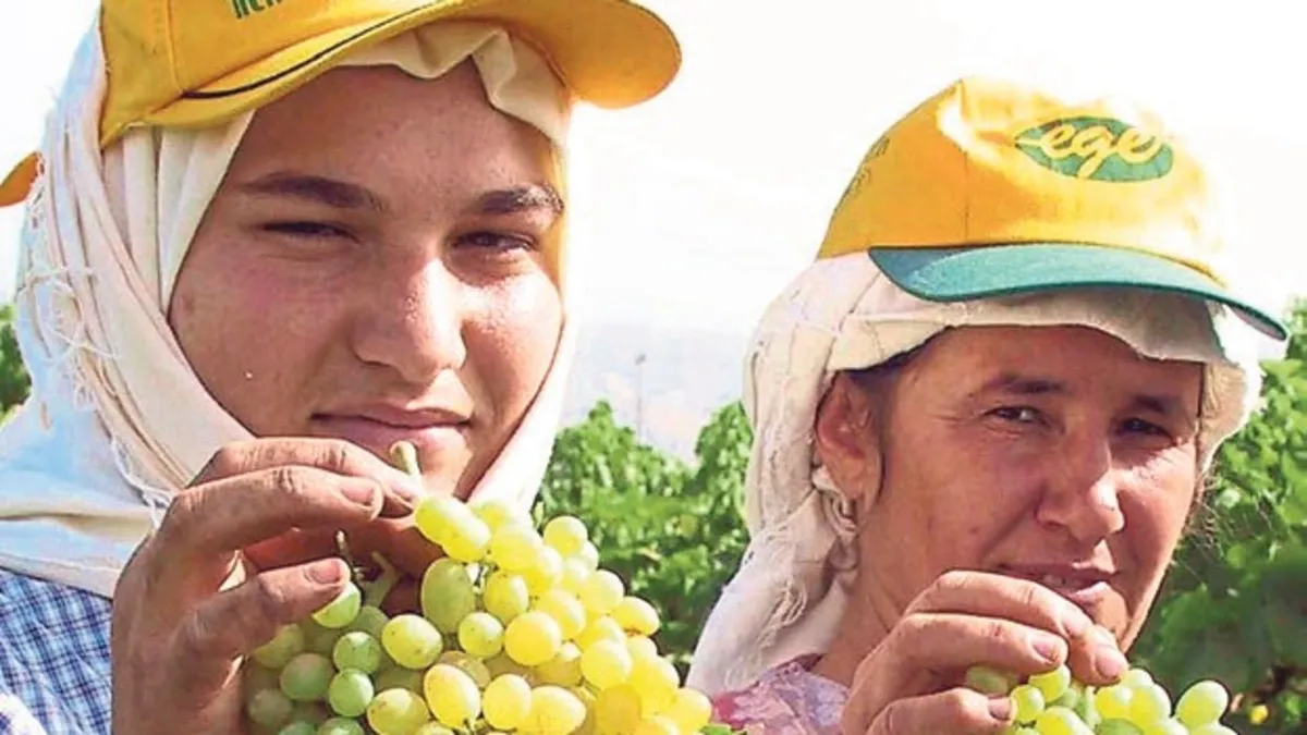 Üretici üzümde müjde bekliyor