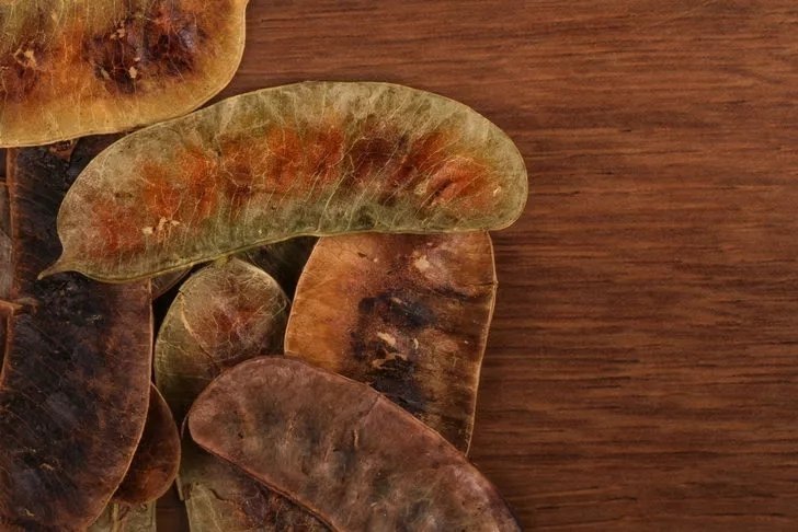 Her derde deva! Kabızlığı, enfeksiyonu, kas ağrılarını, saç dökülmesini kesiyor! Sinameki otunun faydaları neler?