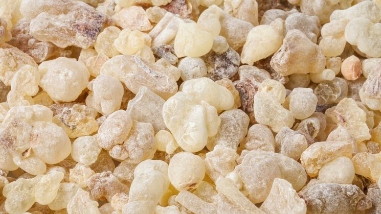 Bu besin ile 15 günde içinde 10 kiloya kadar verebilirsiniz! İşte zayıflatan mucize yöntem