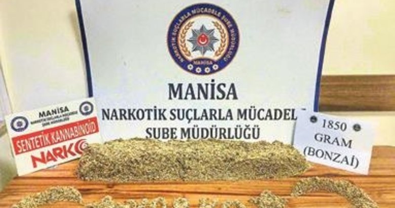 Baskında 1.5 kilo bonzai ele geçirildi