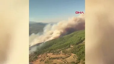 Muğla’da orman yangını