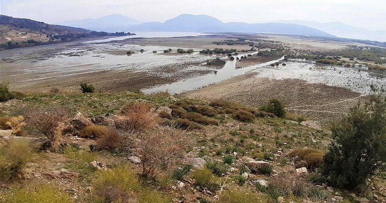 Bafa Gölü’nde sular çekildi, istilacılar ortaya çıktı