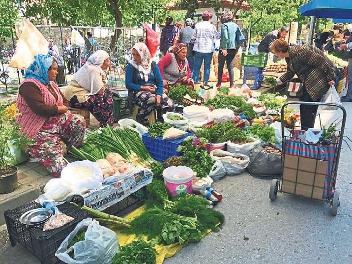 Tire’nin serin yeşili sizi çağırıyor