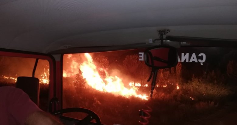 Çanakkale’nin Biga ilçesindeki orman yangını kontrol altına alındı