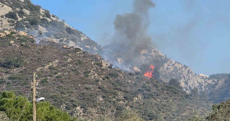 Muğla’da orman yangını