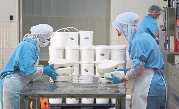 Peynir üreticisi yatırımını devlet desteğiyle büyüttü