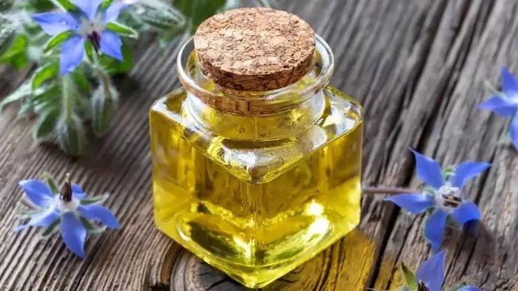 Hodan otu neye iyi gelir? Hodan otunun faydaları nelerdir?