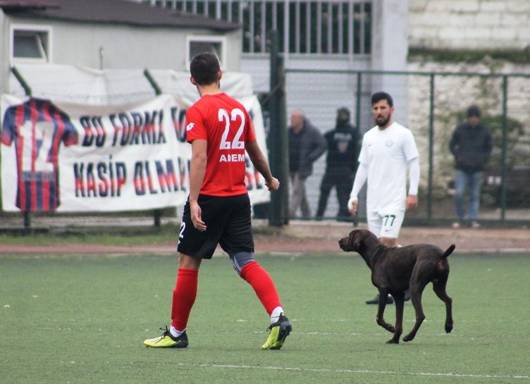 İzmir’deki maçta davetsiz misafir