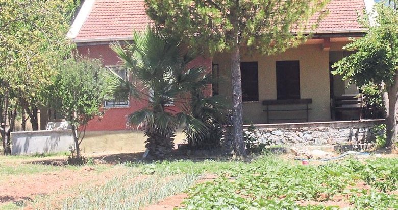 Pınar Gültekin cinayeti davasında şok gelişme