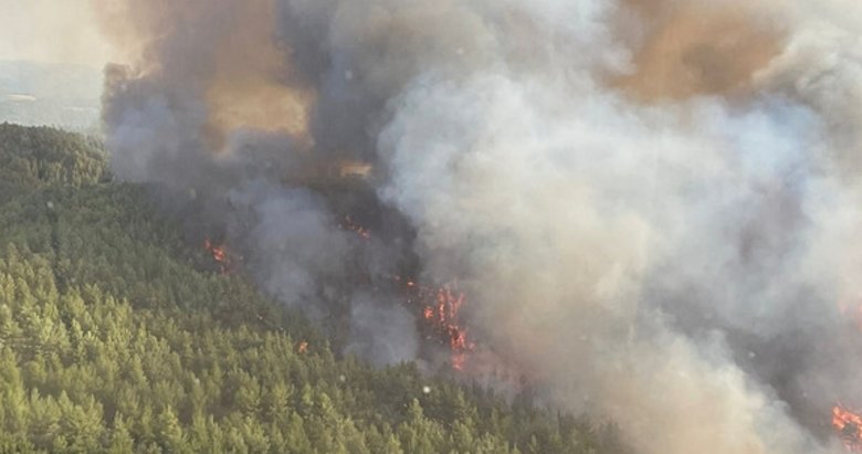 İzmir ve Manisa’da orman yangını! İşte bölgedeki son durum...