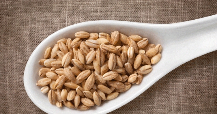 Arpa çayının faydaları nelerdir? Arpa çayı nasıl hazırlanır?