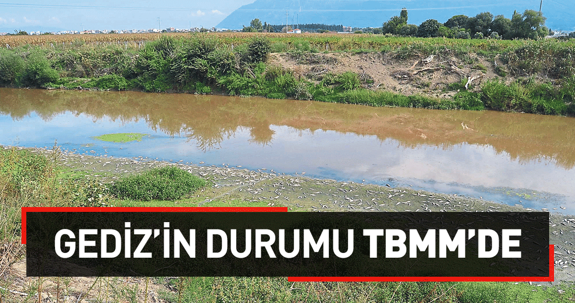 Gediz In Durumu Tbmm Ye Tasindi Izmir Haberleri