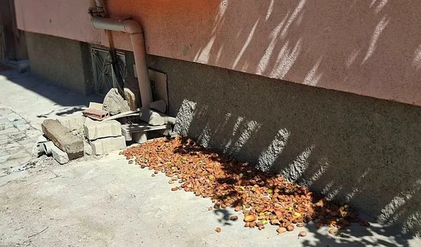 1790333624414.jpeg