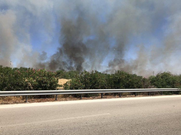 İzmir Çeşme’de otluk alanda yangın